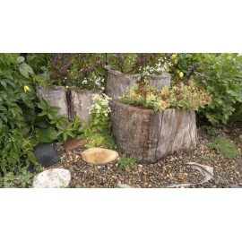 Декорация в пеньке